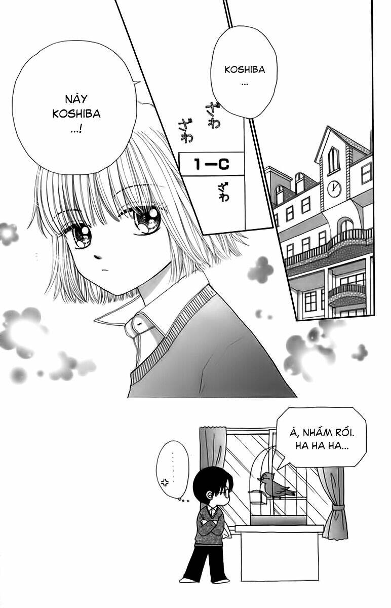 Dự Án Kéo Vàng: Chapter 23