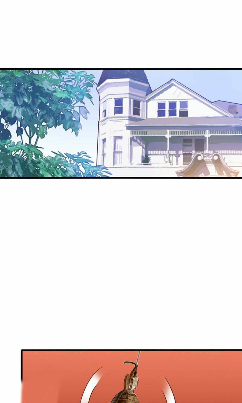 Tôi Bị Gấu Trúc Nhìn Trúng Rồi: Chapter 15