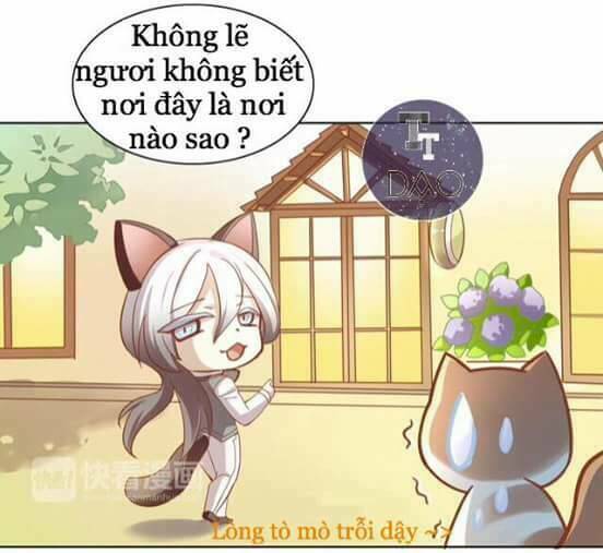 Dưới Móng Vuốt Mèo: Chapter 8