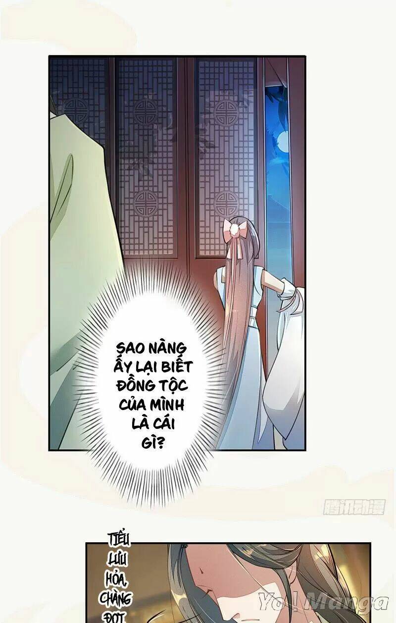 Tuyệt Thế Luyện Đan Sư: Chapter 56