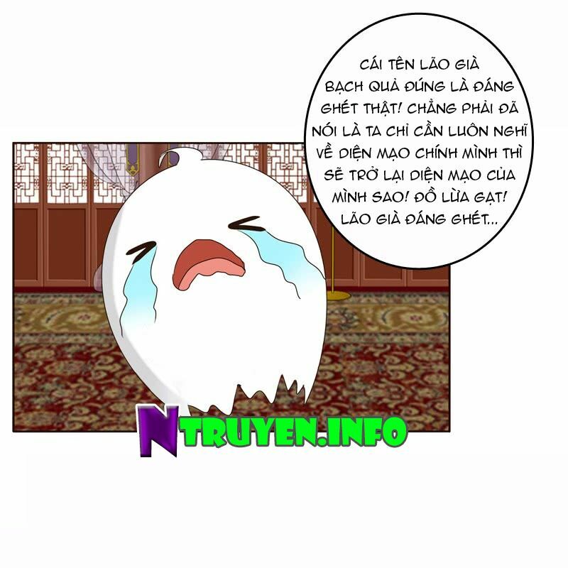 Thông Linh Phi: Chapter 229
