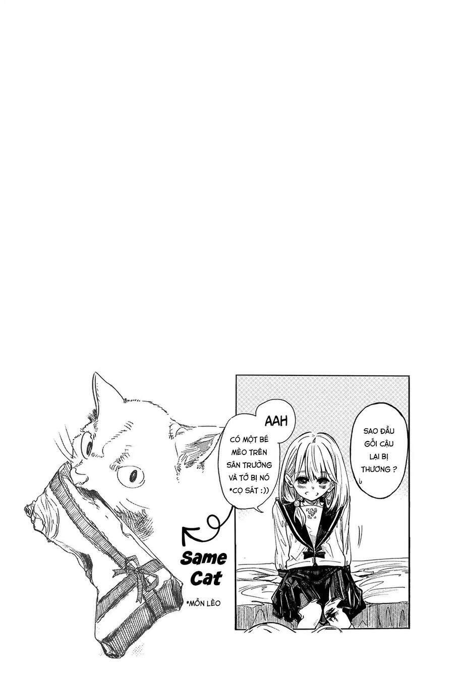 Does She Like Me?: Chapter 15