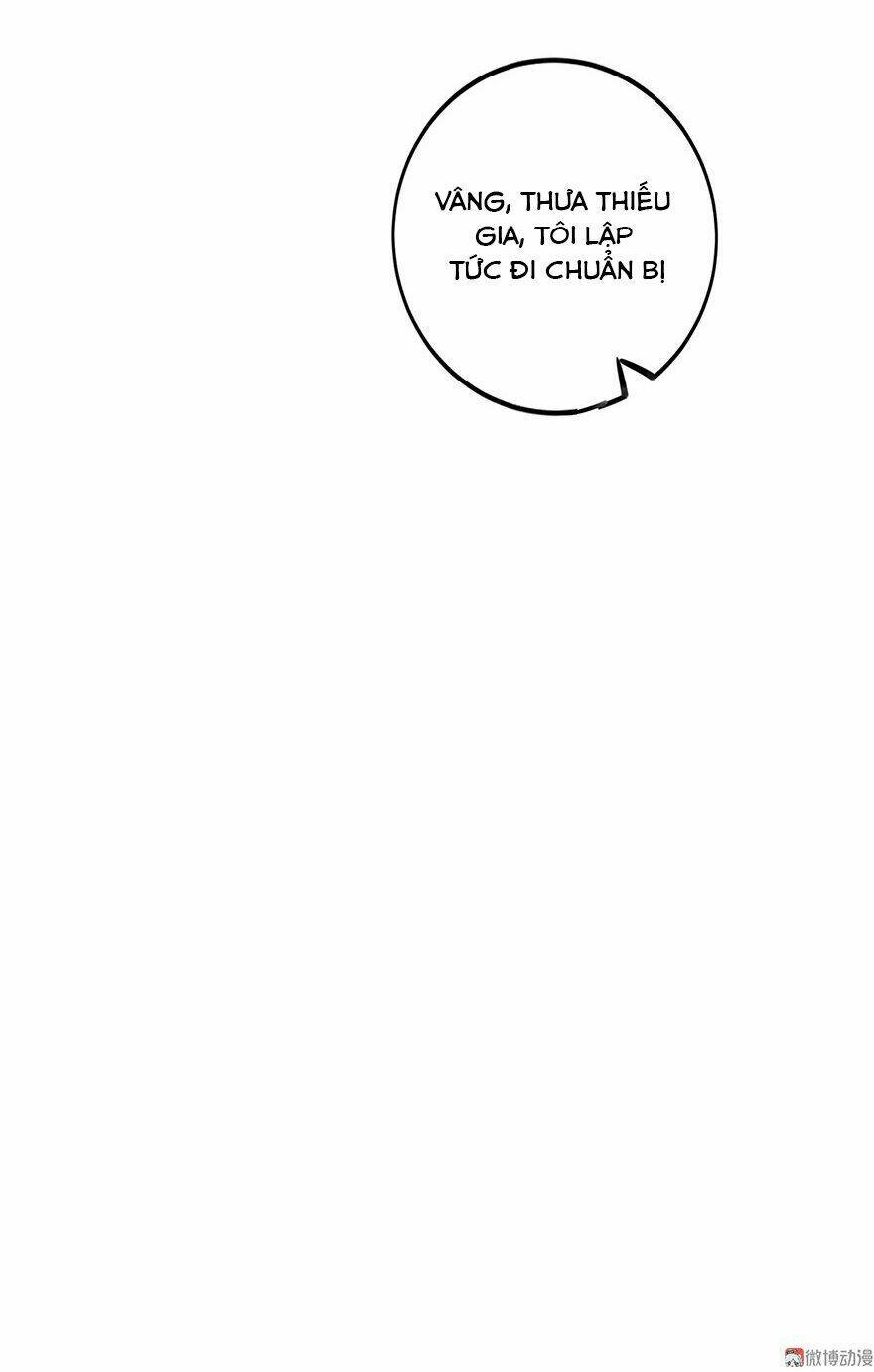 Cấm Tình Điềm Mật: Đế Thiếu Hào Môn Trêu Tận Cửa: Chapter 27