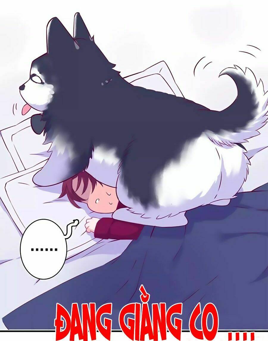 Đừng Nghịch, Ta Chỉ Muốn Yên Tĩnh: Chapter 44