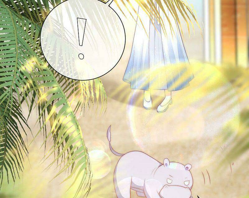 Sủng Hậu Của Vương: Chapter 75