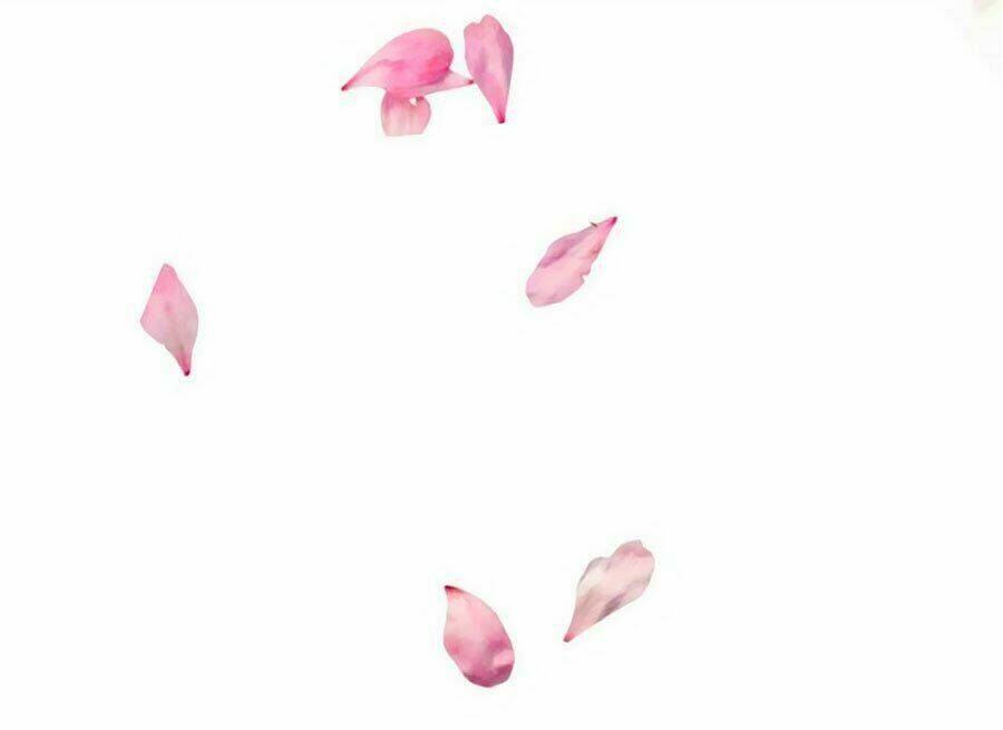 Ngọc Vi Mai: Chapter 5