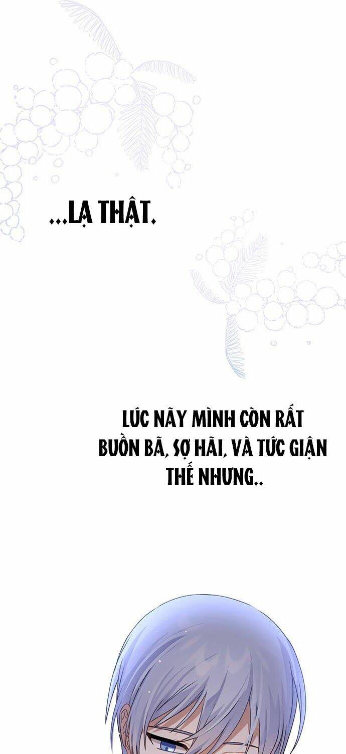 Vị Hôn Thê Của Nam Chính: Chapter 41