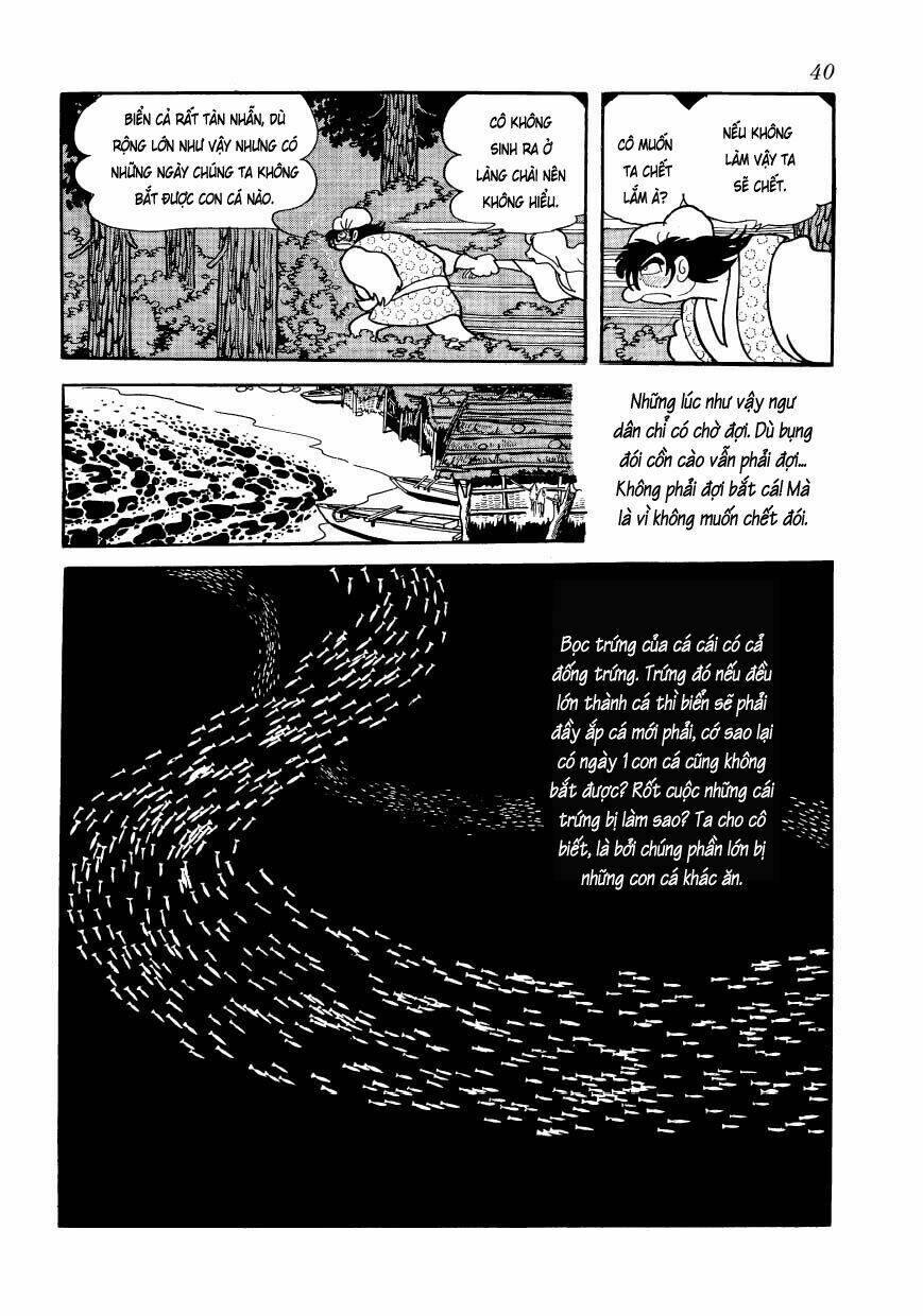 Chim Lửa: Chapter 45