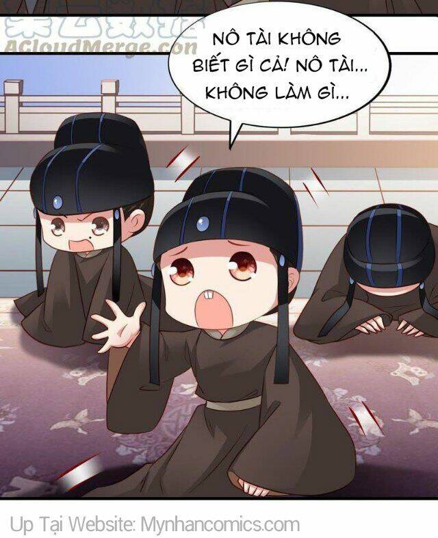 Thái Tử Điện Hạ Có Tin Vui: Chapter 65