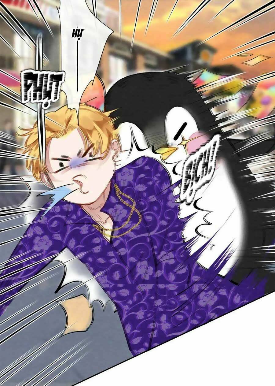 Chung Cư Của Các Ảnh Đế: Chapter 39