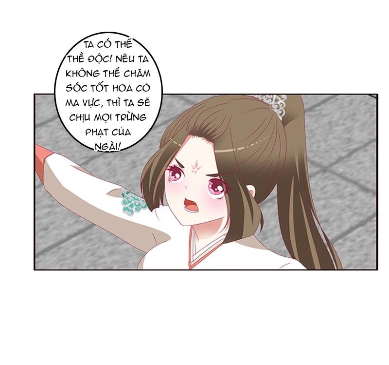 Thông Linh Phi: Chapter 381