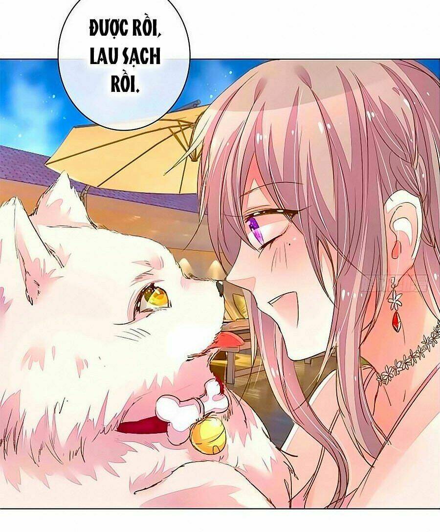 Hào Môn Tiểu Lãn Thê: Chapter 97