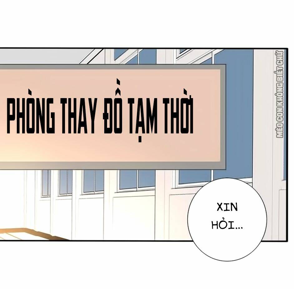 Không Có Ssr Làm Sao Để Yêu: Chapter 15