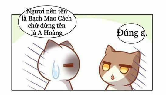 Dưới Móng Vuốt Mèo: Chapter 8