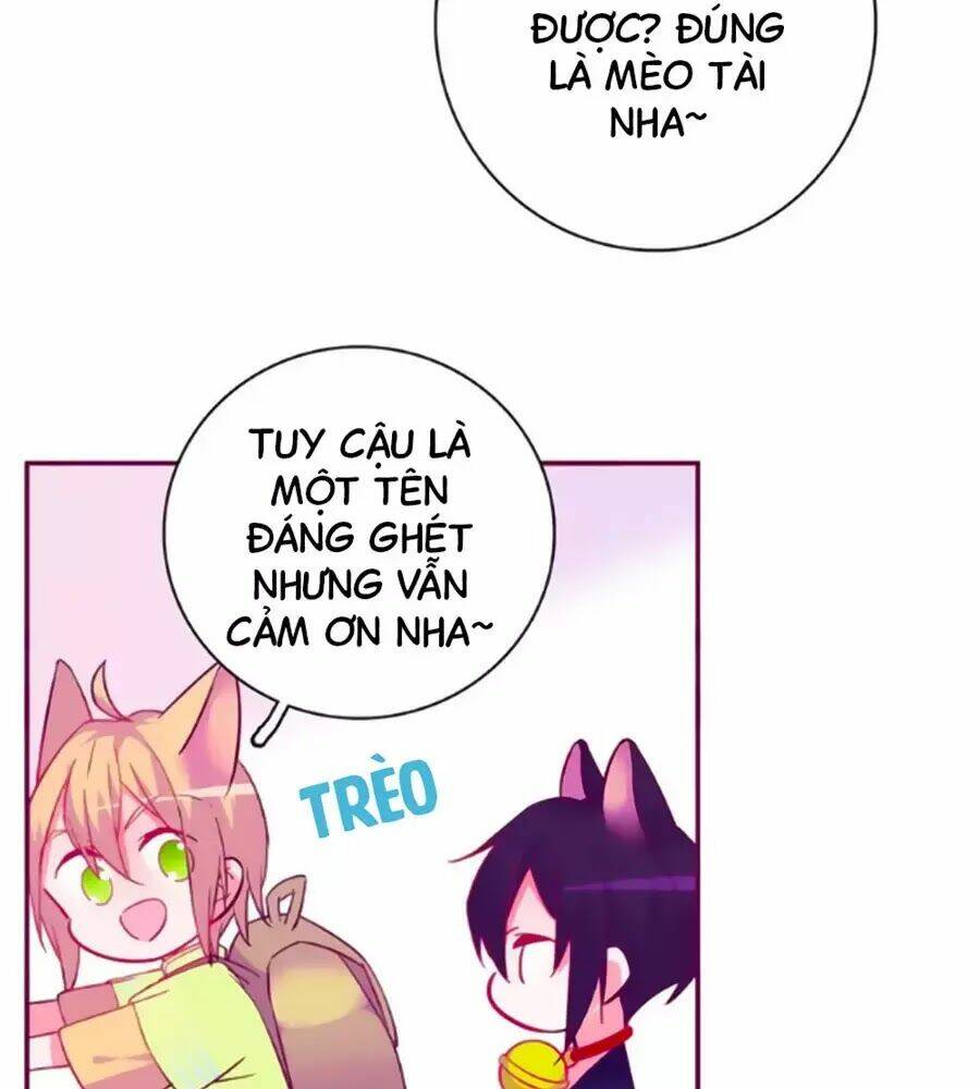 Đừng Nghịch, Ta Chỉ Muốn Yên Tĩnh: Chapter 63