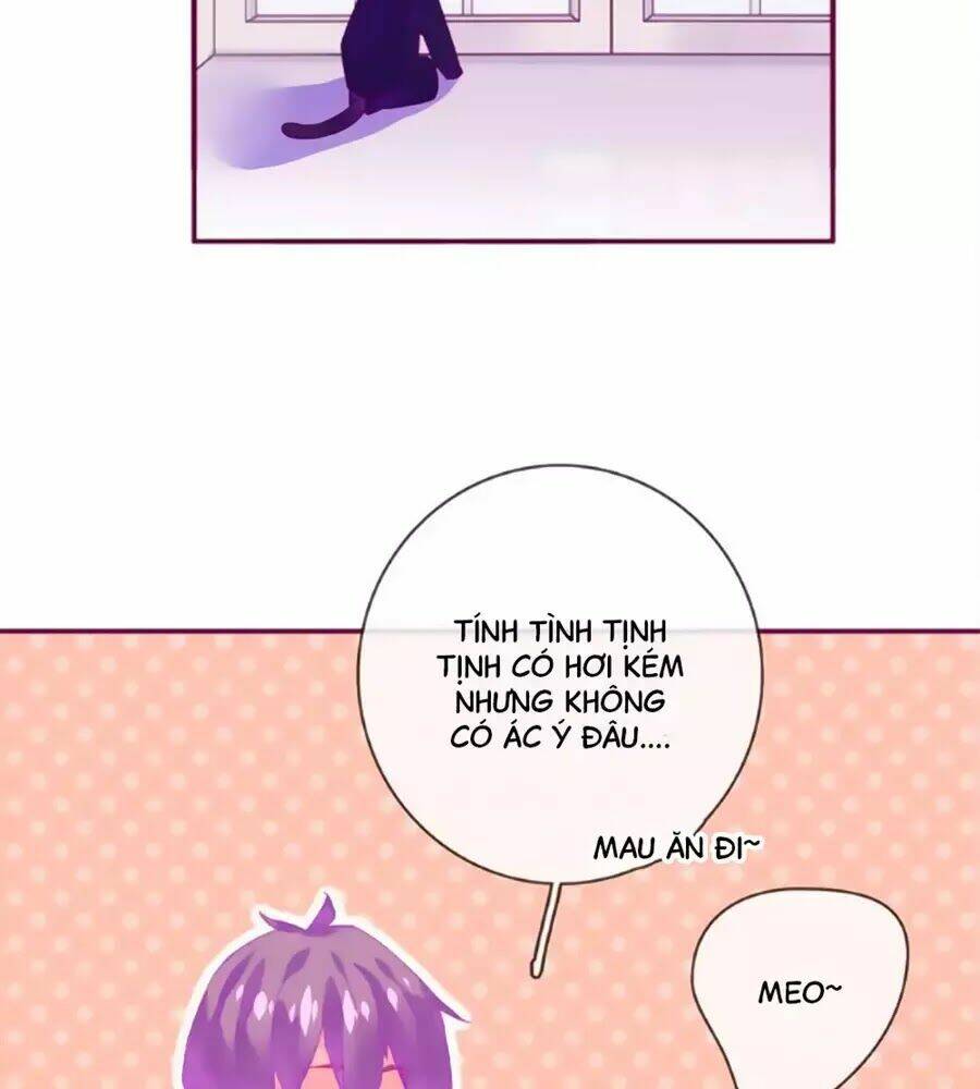 Đừng Nghịch, Ta Chỉ Muốn Yên Tĩnh: Chapter 61