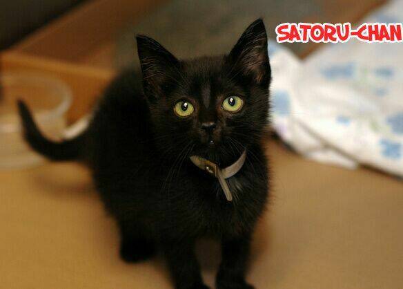 Chuyện Tình Của Toono Và Tamiya: Chapter 10.1