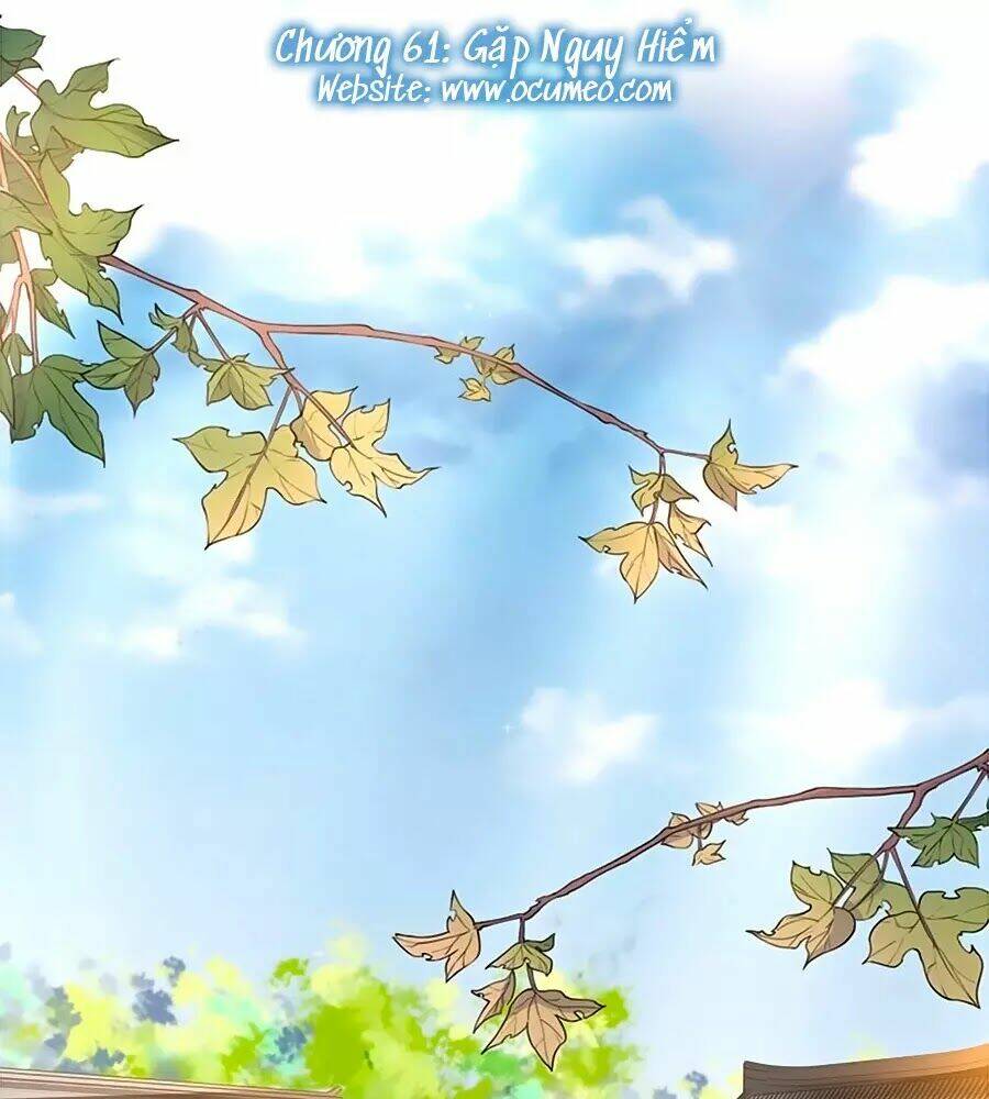 Thịnh Thế Lê Hoa Điện: Chapter 61