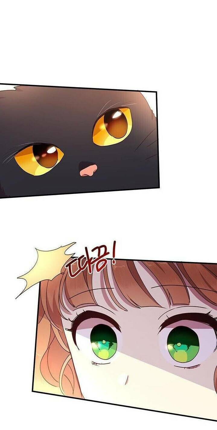 Công Tước, Loạn Vừa Thôi!: Chapter 58