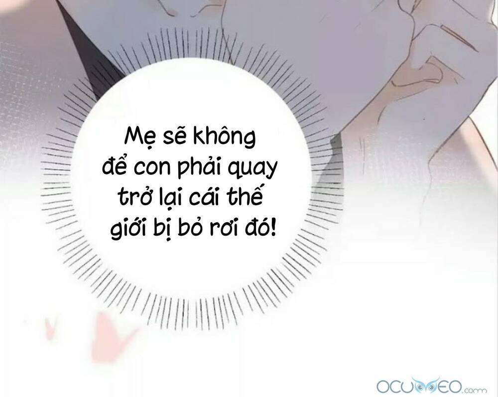 Sos! Tôi Đã Yêu Một Con Sâu Bướm (Phần 2): Chapter 15