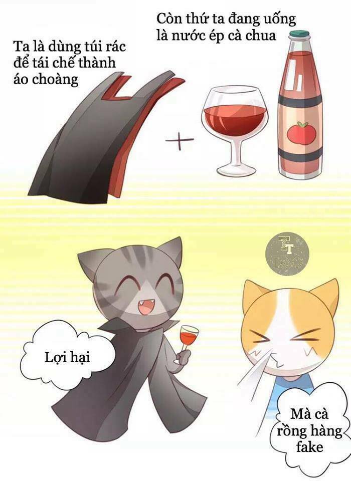 Dưới Móng Vuốt Mèo: Chapter 18