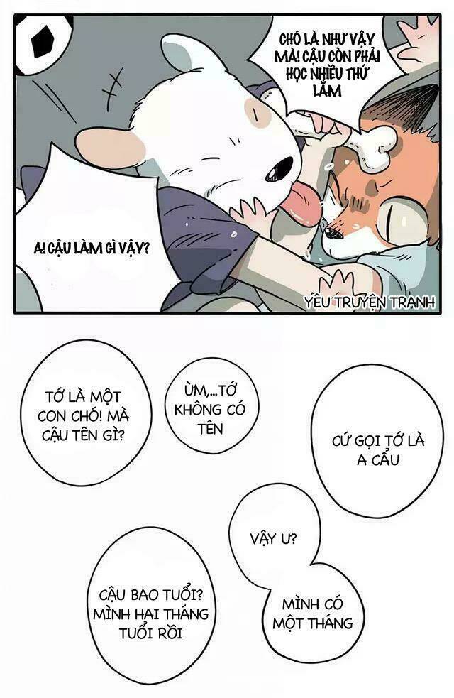 Bạn Trai Tôi Là Cáo Cam: Chapter 1