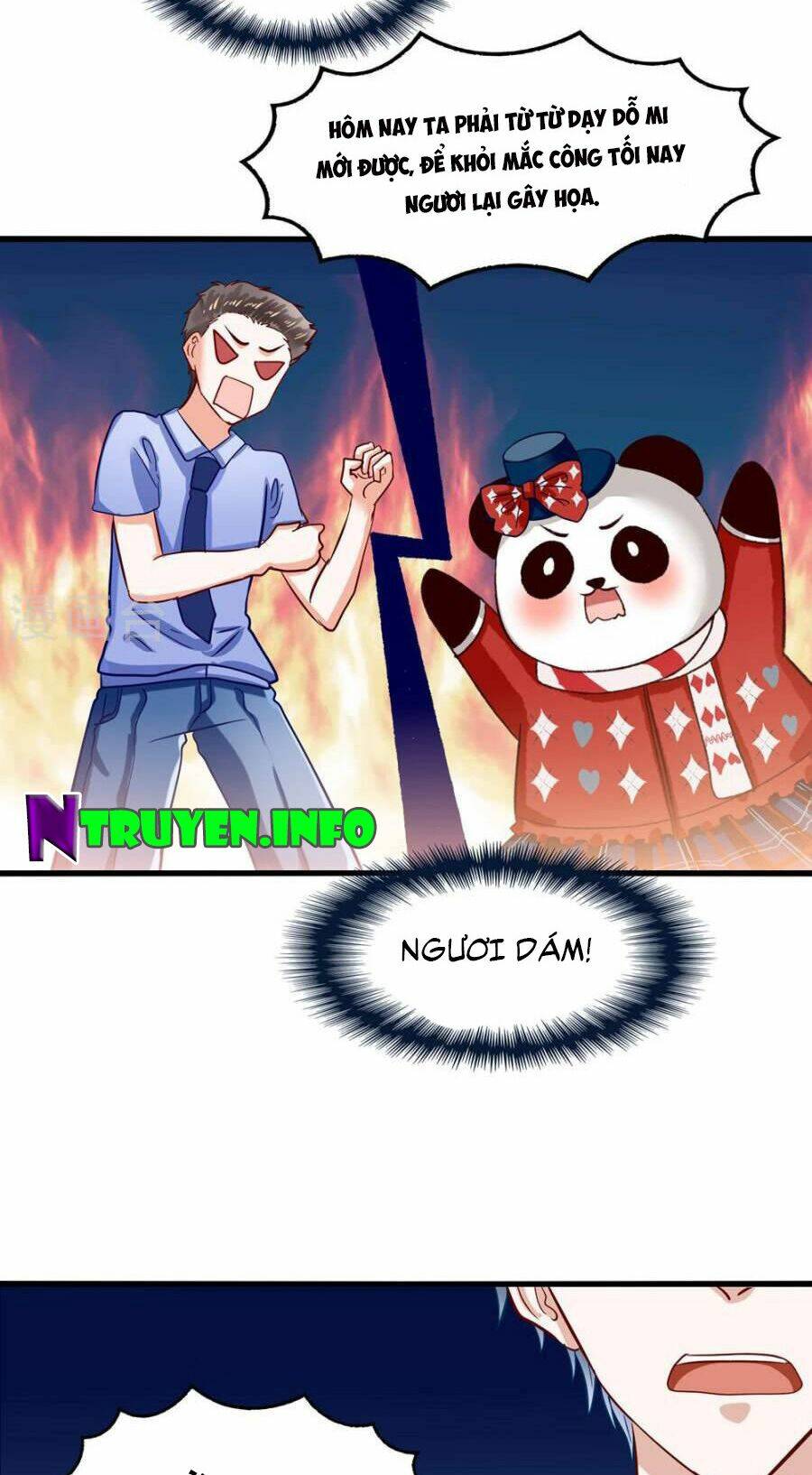 Tôi Bị Gấu Trúc Nhìn Trúng Rồi: Chapter 5