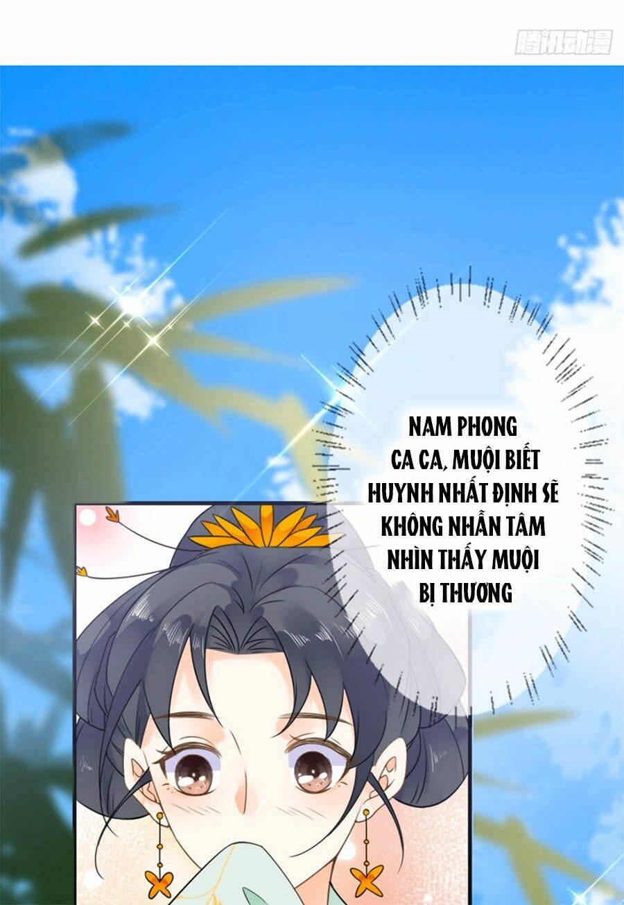 Tang Lạc Túy Tại Nam Phong Lý: Chapter 24