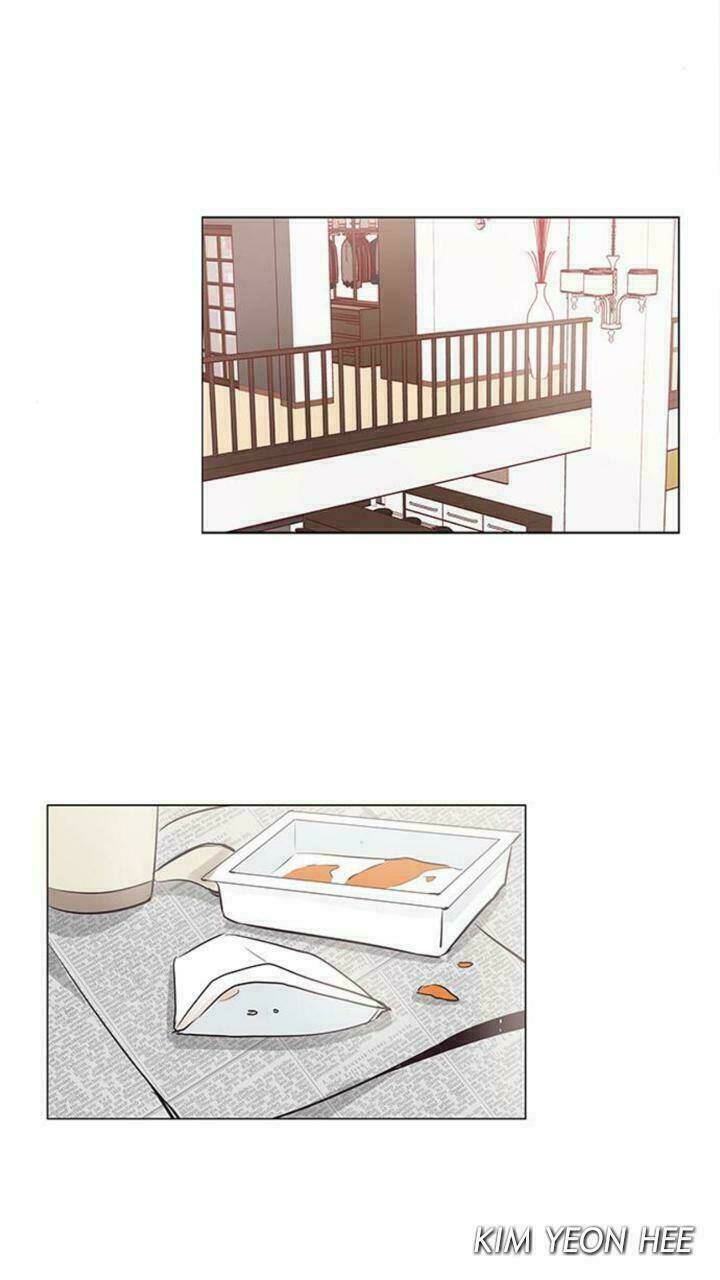 Tôi Kết Hôn Cùng Antifan: Chapter 19