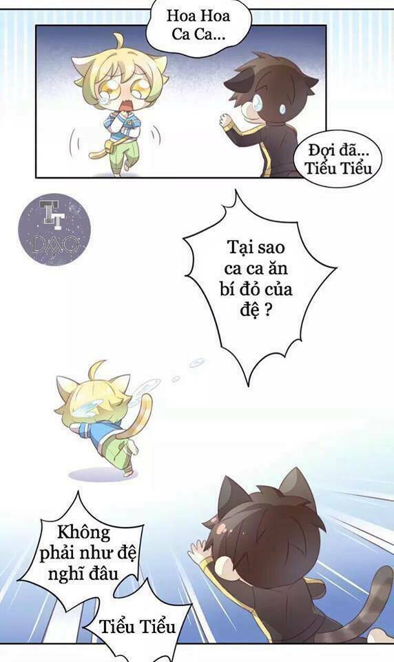 Dưới Móng Vuốt Mèo: Chapter 18