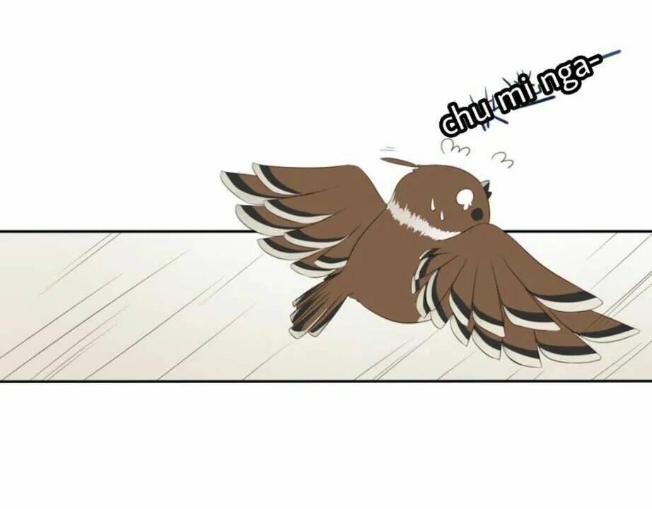 Tước Kiều Tiên: Chapter 2.1