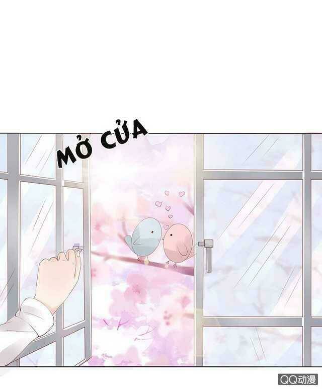 Băng Sơn Học Trưởng Không Được Chọc: Chapter 40.1