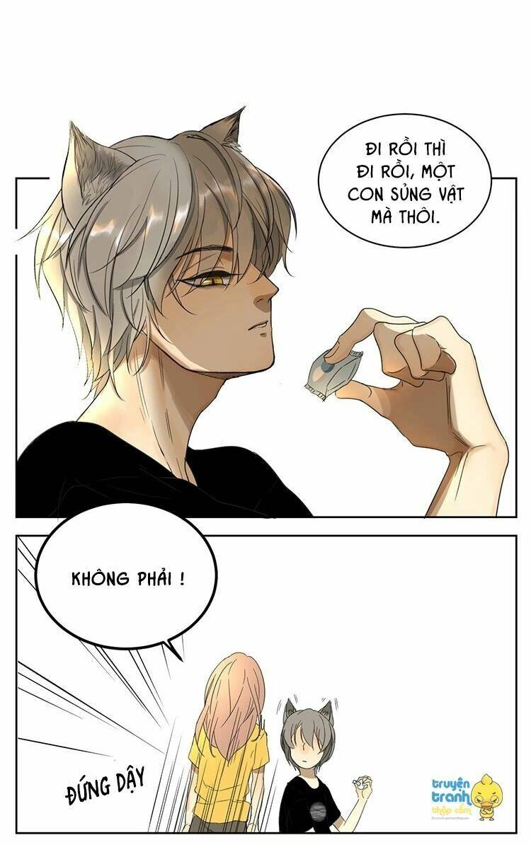 Cứu Mạng! Loài Mèo Thống Trị Thế Giới Rồi!: Chapter 11