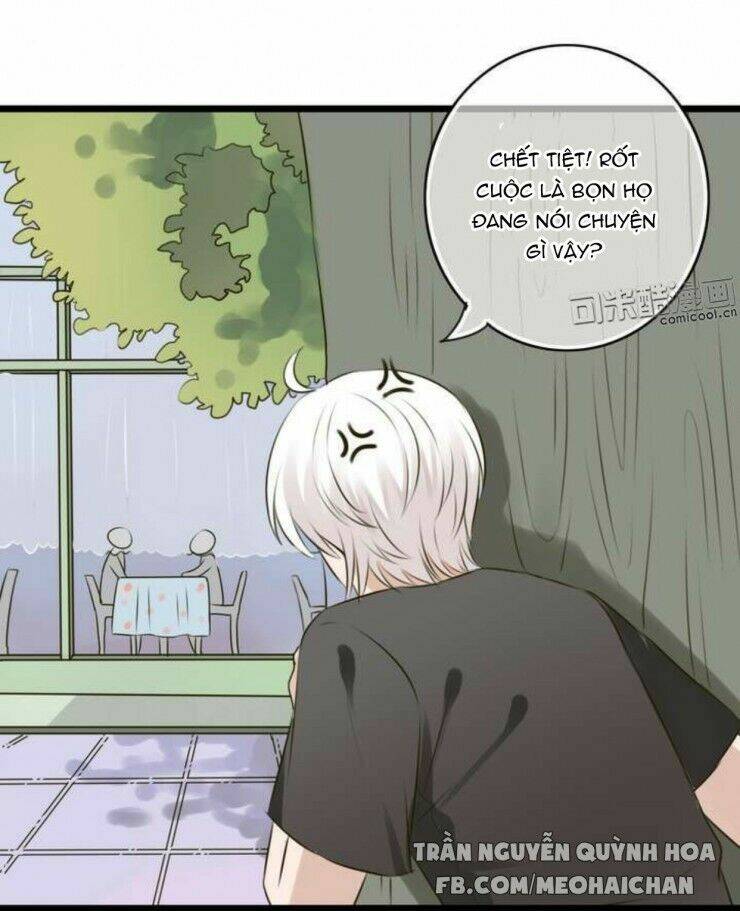 Sau Con Mưa Mùa Hạ: Chapter 5