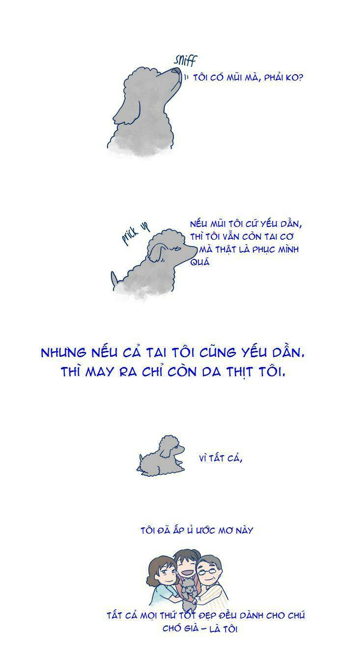 My Young Cat And My Old Dog: Chapter 3