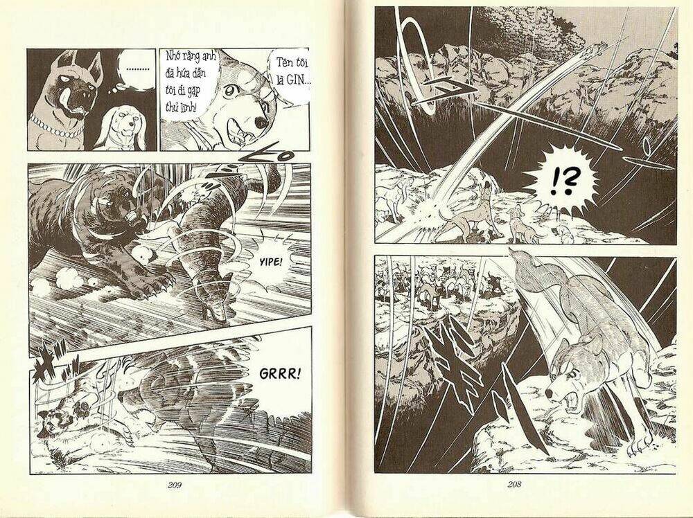 Chú Chó Có Nghĩa - Ginga Nagareboshi Gin: Chapter 10