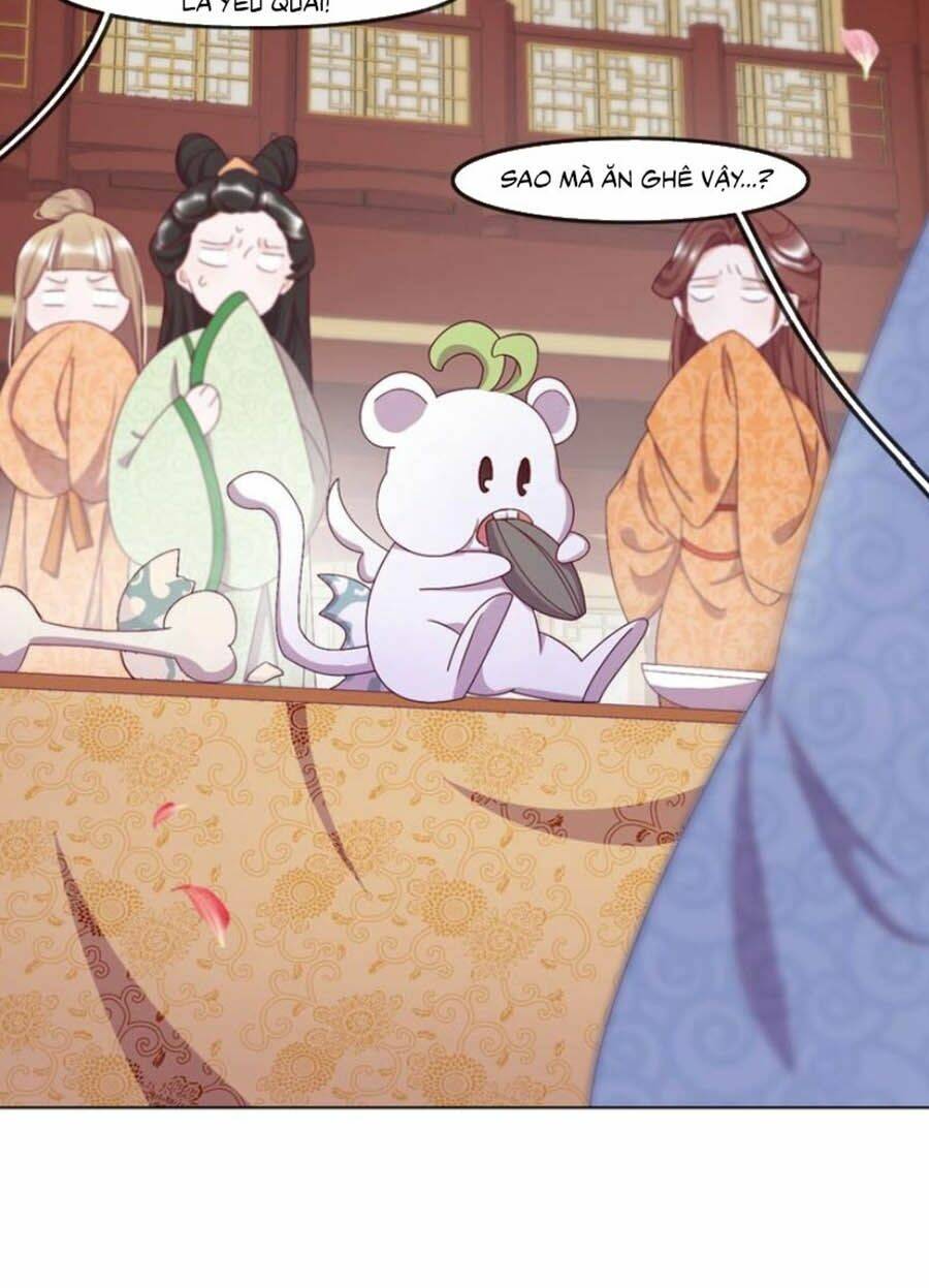 Vân Tưởng Chi Ca: Truy Ái Chỉ Lệnh: Chapter 5