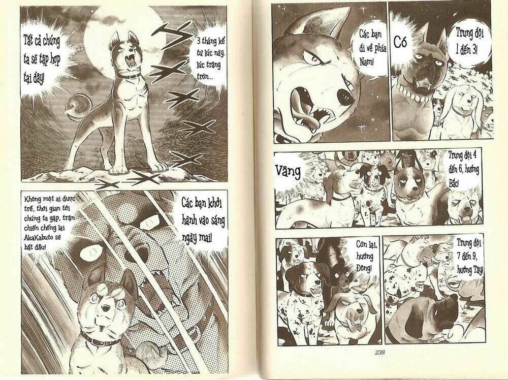 Chú Chó Có Nghĩa - Ginga Nagareboshi Gin: Chapter 11