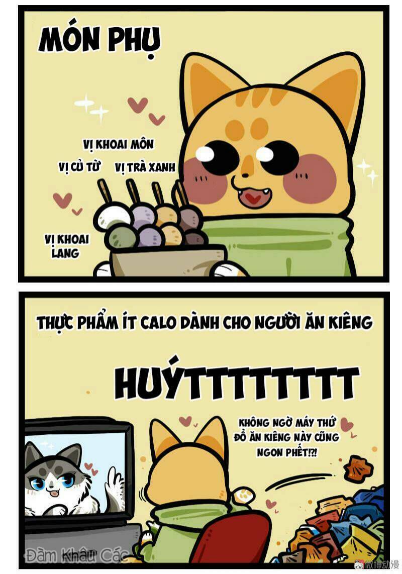 Đời Không Như Mình Tưởng: Chapter 61