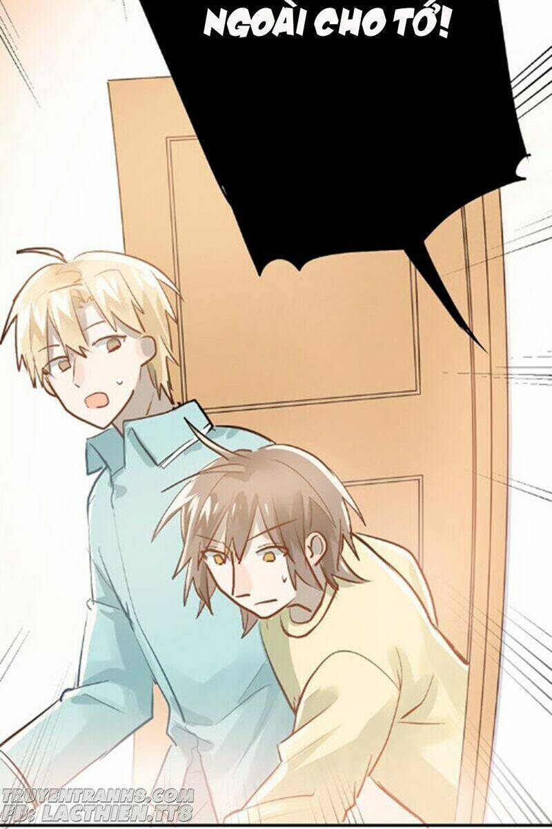 Đầu Gấu Biết Yêu: Chapter 91