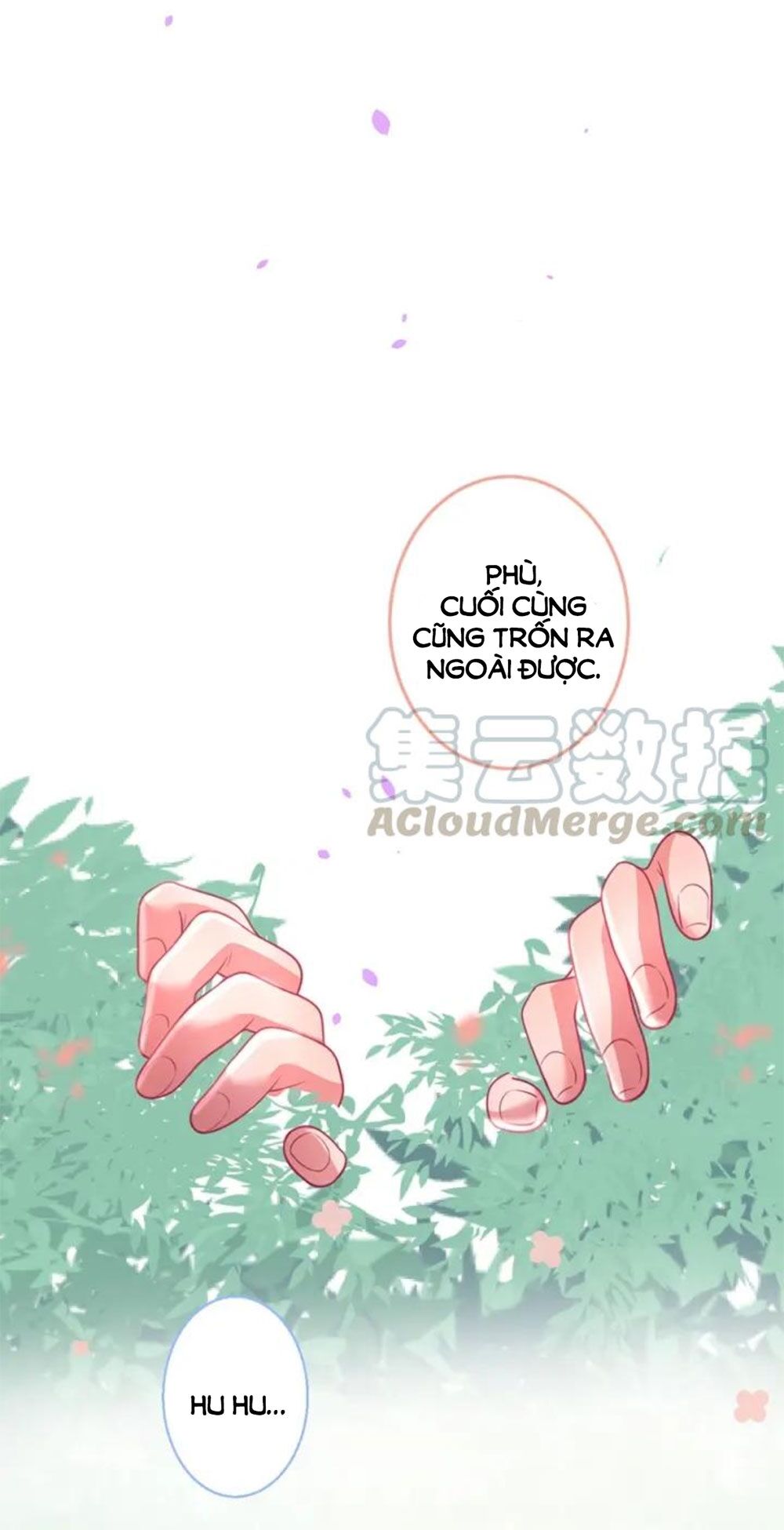 Vương Tử Và Ánh Trăng Đen: Chapter 62