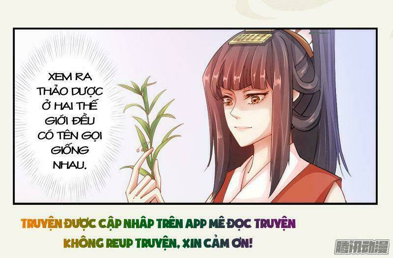 Tuyệt Thế Luyện Đan Sư: Chapter 5