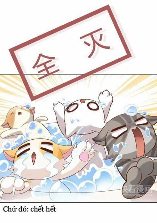 Dưới Móng Vuốt Mèo: Chapter 1
