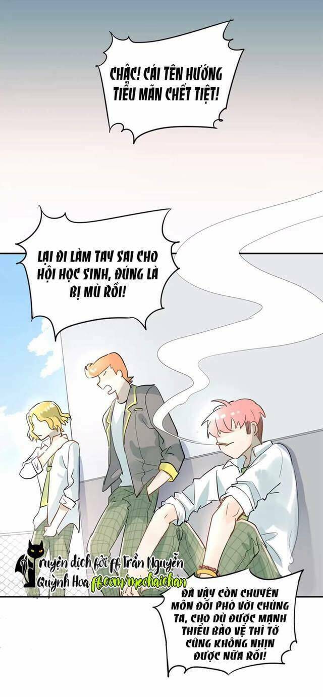 Đầu Gấu Biết Yêu: Chapter 8