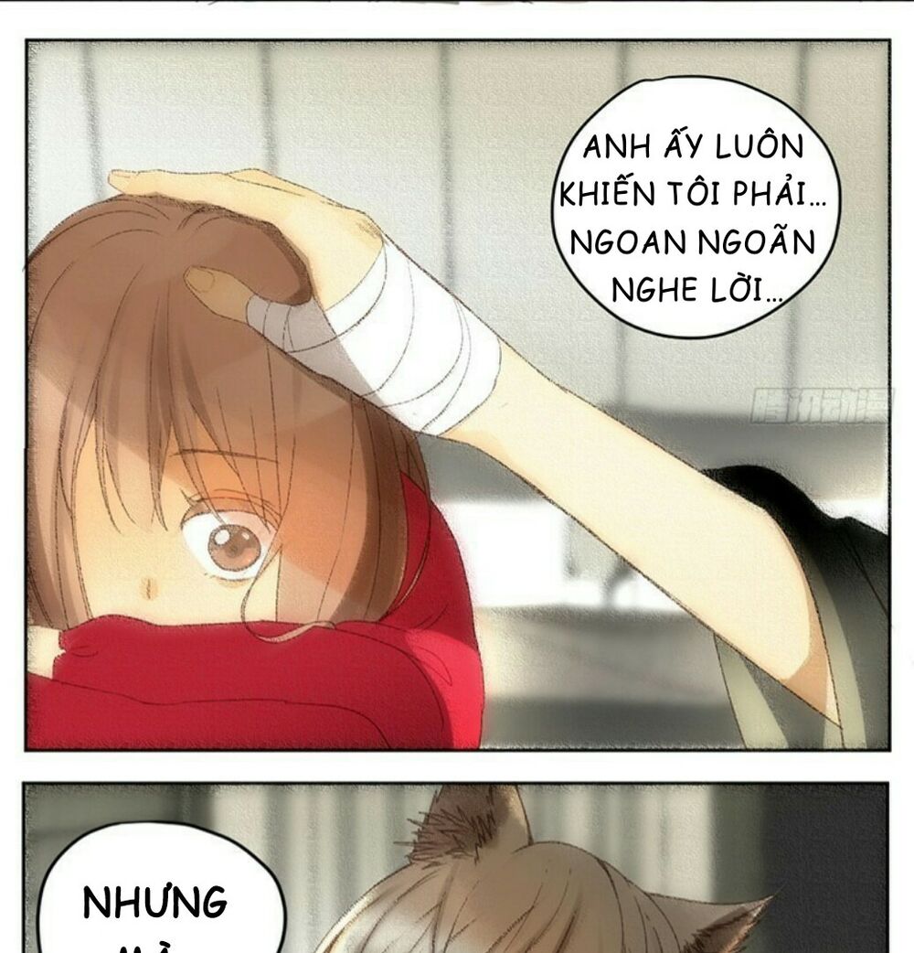 Cứu mạng ! Loài mèo thống trị thế giới rồi !: Chapter 35