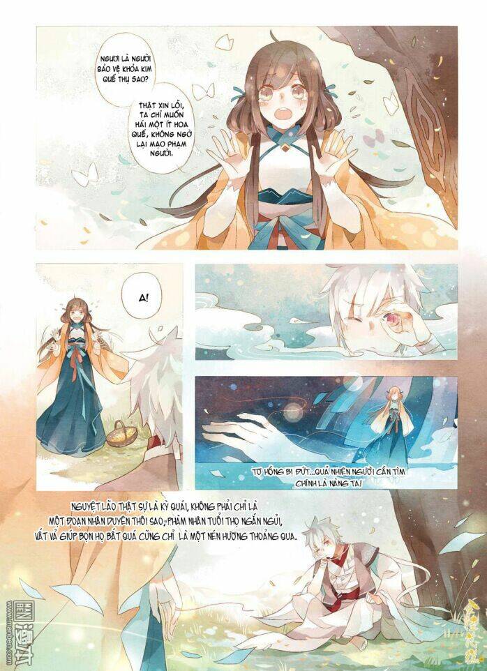 Kim Quế Hoa Cao: Chapter 1