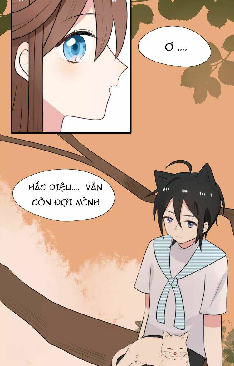 Tiểu Miêu Và Hắc Diệu Thạch: Chapter 7