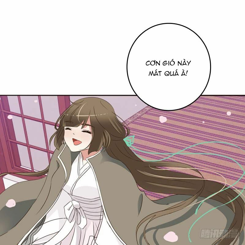 Thông Linh Phi: Chapter 238