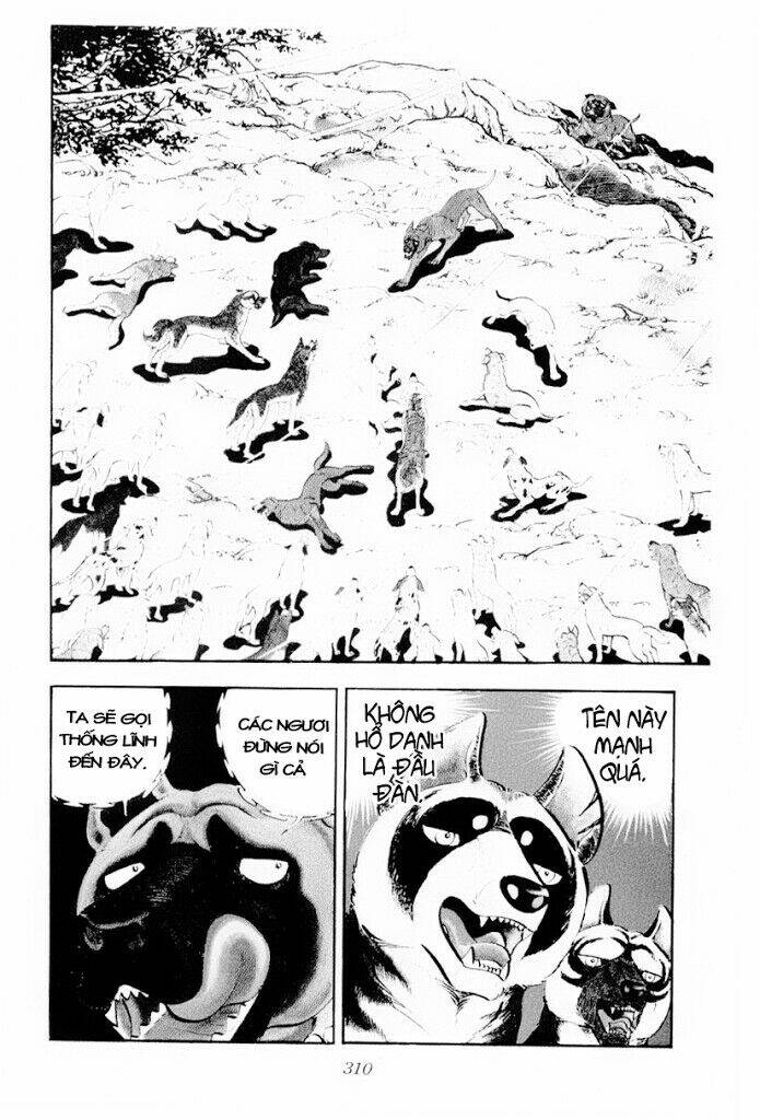 Chú Chó Có Nghĩa - Ginga Nagareboshi Gin: Chapter 30.2