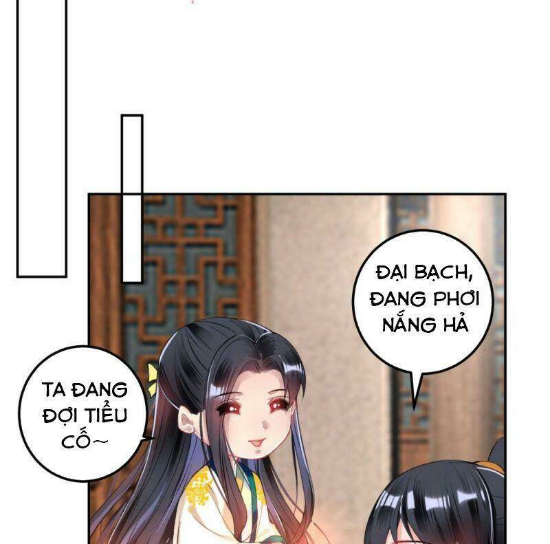 Vương Gia, Áo Lót Của Ngươi Rơi Mất Rồi: Chapter 62